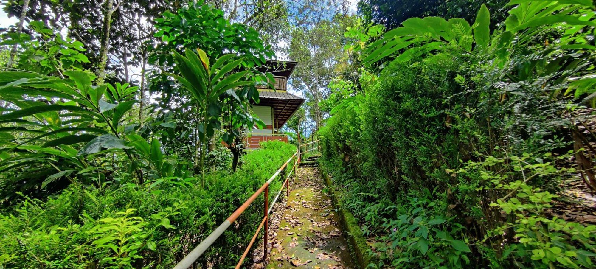 Chalona Hill View Hotel Munnar Exterior photo