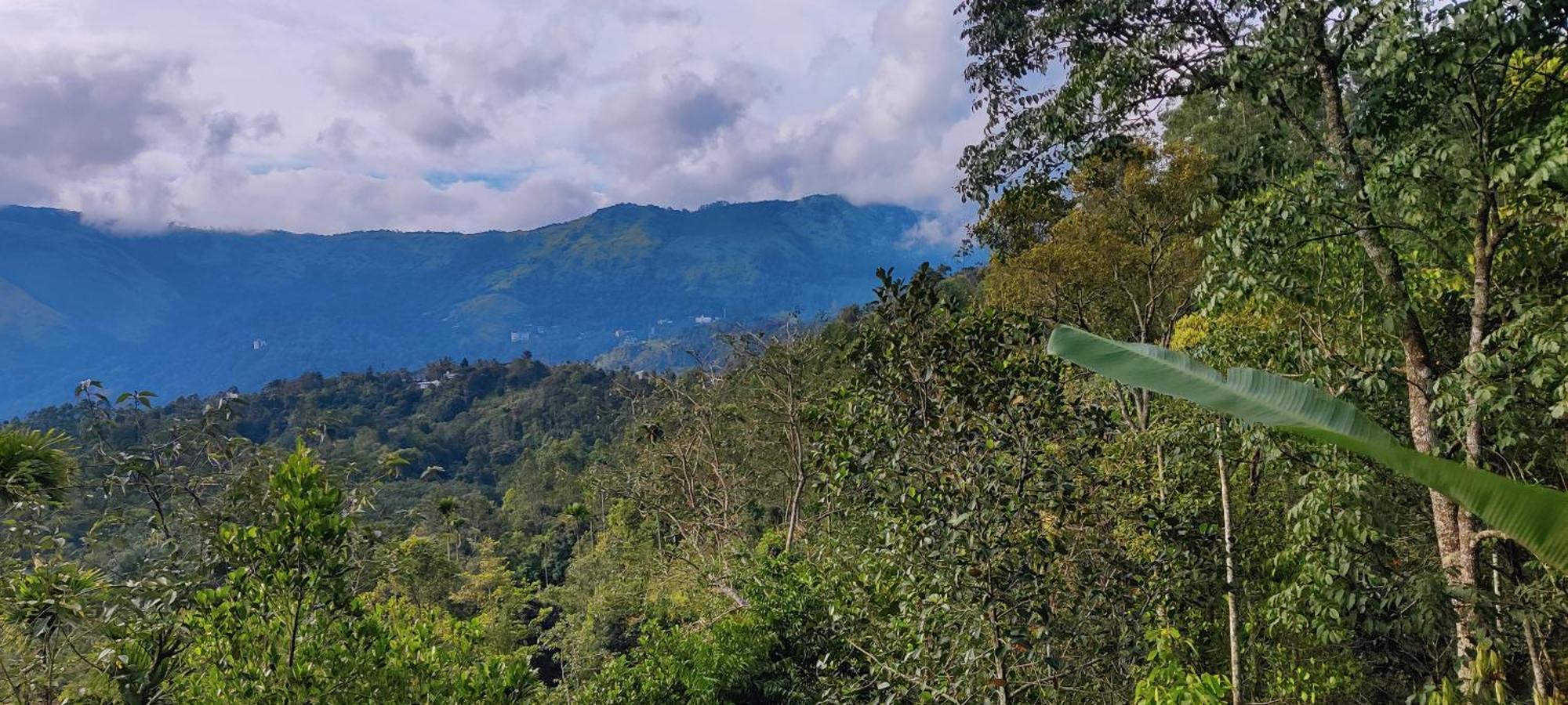 Chalona Hill View Hotel Munnar Exterior photo