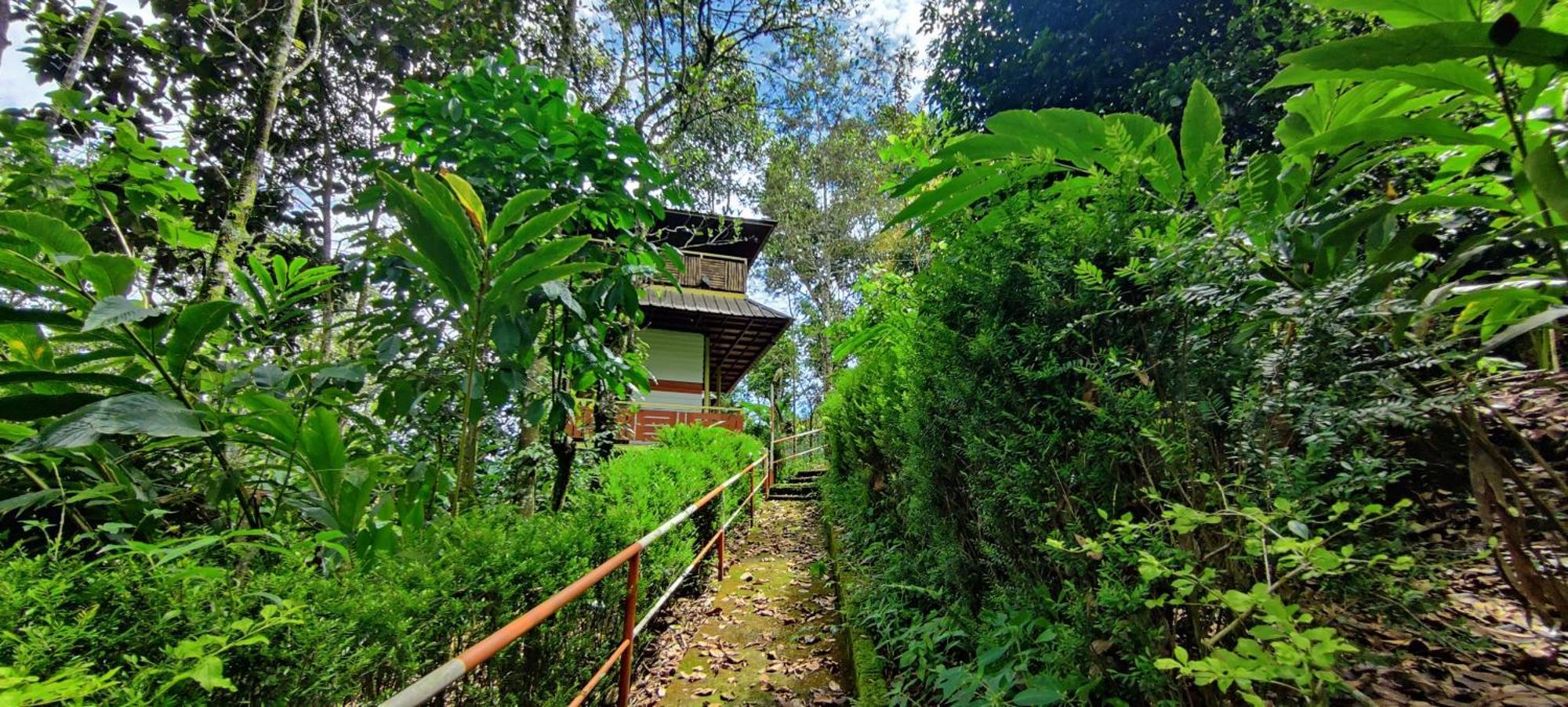 Chalona Hill View Hotel Munnar Exterior photo