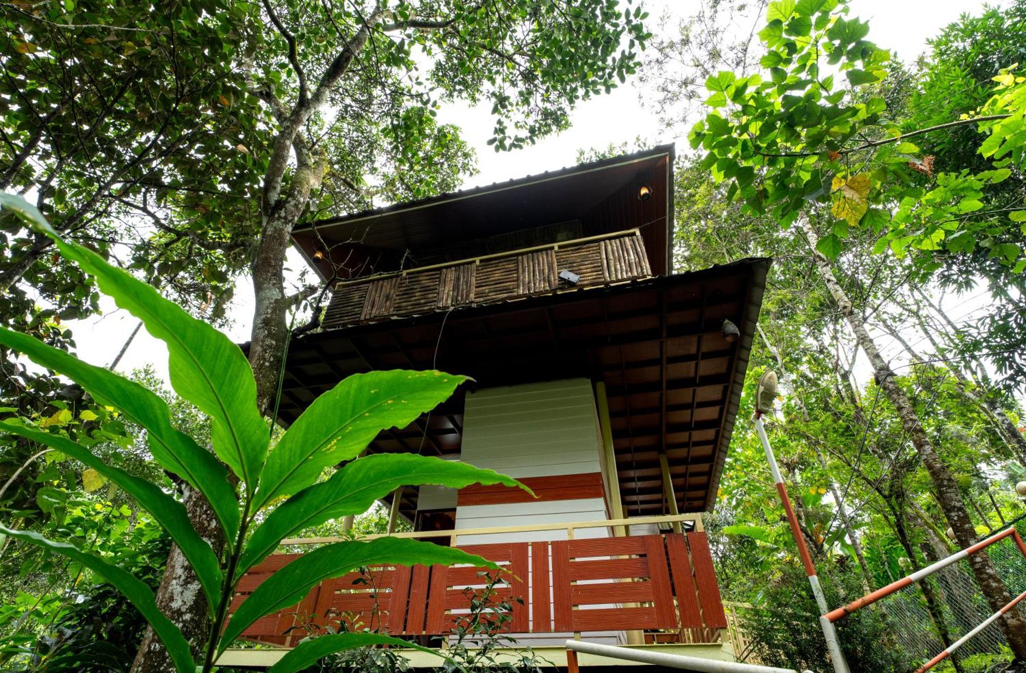 Chalona Hill View Hotel Munnar Exterior photo